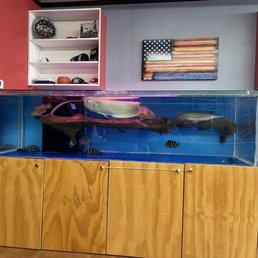 Fish!