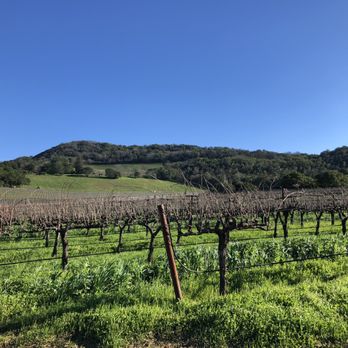 Quintessa Vineyard - Wineries Near Me - St. Helena, California Quintessa Vineyard - Wineries Near Me - St. Helena, California