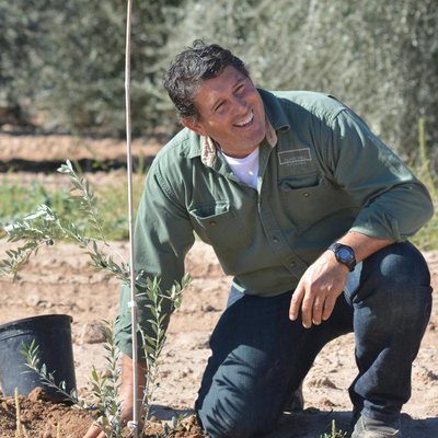 Queen Creek Olive Mill by null