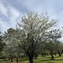 Photo of Gagnon Family Orchard
