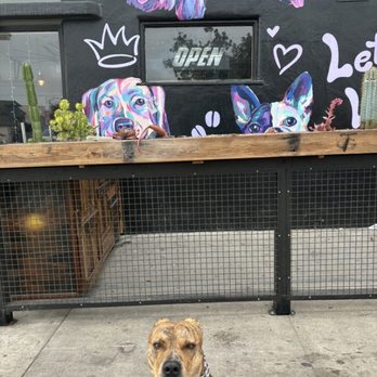 Lazy Eye Coffee - Coffee & Tea Near Me - San Diego, California Lazy Eye Coffee - Coffee & Tea Near Me - San Diego, California