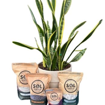 101 Market - We carry Sol Soils! - Florists Near Me - Otsego, Minnesota 101 Market - We carry Sol Soils! - Florists Near Me - Otsego, Minnesota
