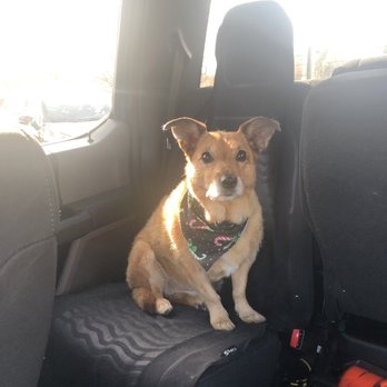 Pup N Suds - Pet Groomers Near Me - Oak Forest, Illinois