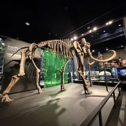 CosmoCaixa