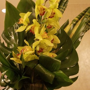 The Westin Pasadena - Fresh orchid arrangements throughout the main floor - Hotels Near Me - Pasadena, California