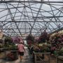 Photo of Malerba's Farm