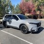 Photo of Tom Scott Honda
