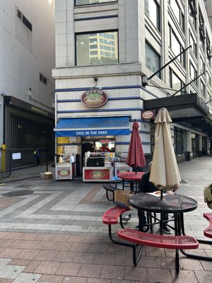 Dog In the Park by null