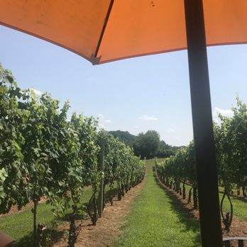 Three Fox Vineyards & Brewery - Wineries Near Me - Delaplane, Virginia