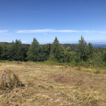 C & J Excavating - They were super careful and noted stuff to not take down with pink tape! - Demolition Services Near Me - Sequim, Washington