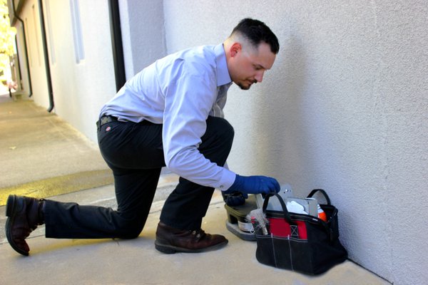 Rodent Control Concord Ca
