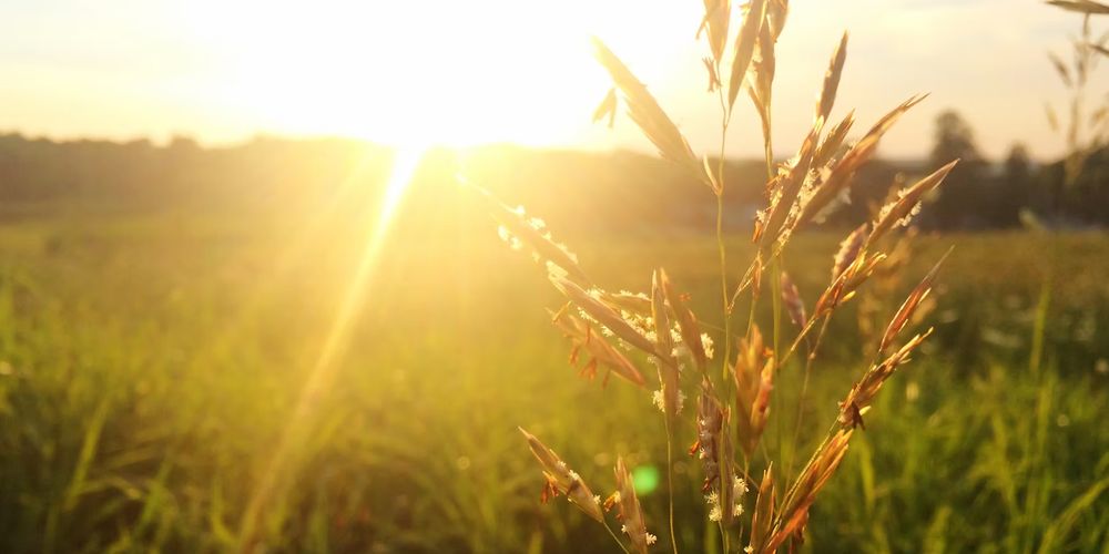 Sincere Counseling - grief counselor in Troy, OH