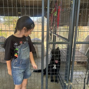 Back-to-Eden Ranch - Attraction Farms Near Me - Gilroy, California
