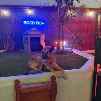 Good Boy - Dive Bars Near Me - San Diego, California Good Boy - Dive Bars Near Me - San Diego, California