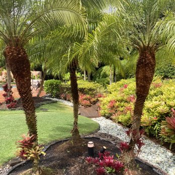 Treevive Kaua’i - Tree Services Near Me Treevive Kaua’i - Tree Services Near Me