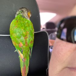 Arbor Pet Clinic