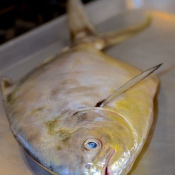 Indialantic Seafood Company - Pompano - Seafood Markets Near Me - Indialantic, Florida Indialantic Seafood Company - Pompano - Seafood Markets Near Me - Indialantic, Florida