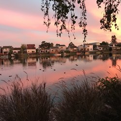 Mauricio Ronderos, DDS, MS - Check out our sunrise view!