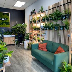 Rootbound Plants & Pots