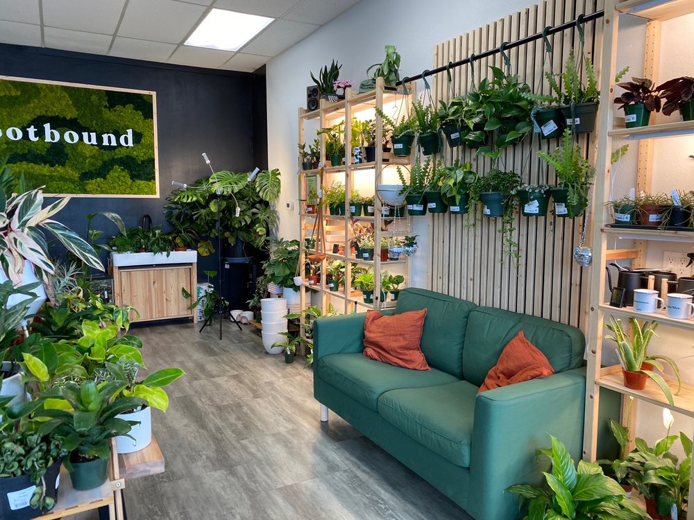 ROOTBOUND PLANTS & POTS Updated October 2024 5430 River Rd N