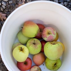 Bays Family Farm - Our picks of the day