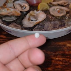 Courtyard Oyster Bar & Grill - I found a pearl in the oyster!!