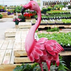 Farrand Farms - Yard decorations