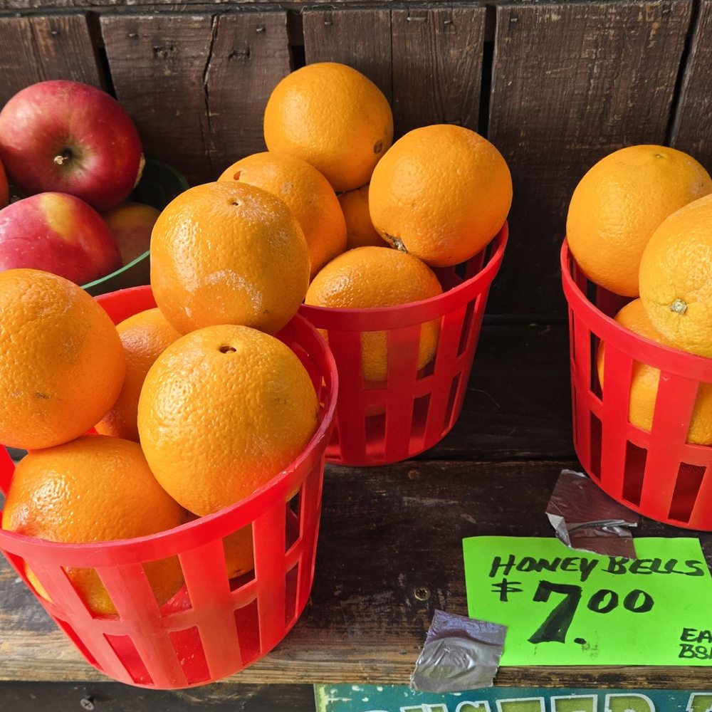 Corbitt's Produce - Honey Bells $7 per basket - Specialty Food Near Me - Orange Park, Florida Corbitt's Produce - Honey Bells $7 per basket - Specialty Food Near Me - Orange Park, Florida