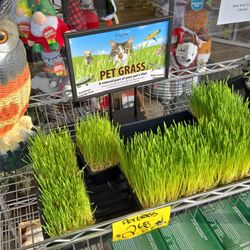 Pets-N-Us - Fresh