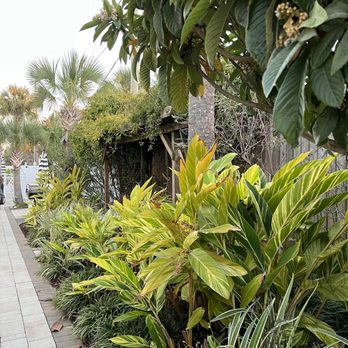 The Georgianne Inn - Hotels Near Me - Tybee Island, Georgia