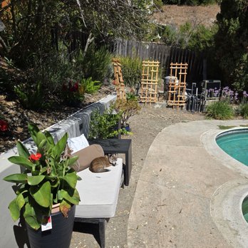 VR. Landscape Solution - Upgraded retaining wall with down lighting. Next up is new pavers! - Landscaping Near Me - Martinez , California VR. Landscape Solution - Upgraded retaining wall with down lighting. Next up is new pavers! - Landscaping Near Me - Martinez , California