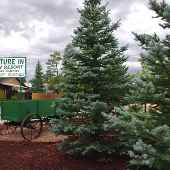 Encore Venture In - RV Parks Near Me - Show Low, Arizona Encore Venture In - RV Parks Near Me - Show Low, Arizona