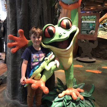Rainforest Cafe - American Near Me - Ontario, California Rainforest Cafe - American Near Me - Ontario, California