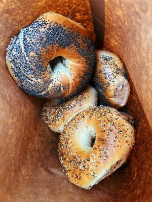 Wonder Bagels by null