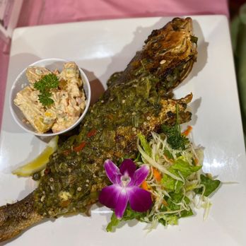 JAA's Kitchen - a plate of grilled fish with a side of coleslaw - American Near Me - Panama City Beach, Florida