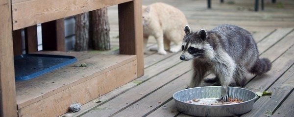 Globe & Anchor Services - veterans service organization in Fredericksburg, VA
