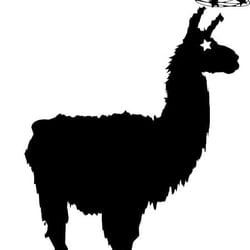 Dizzy Llamas Athletic Club