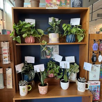 Lark & Owl Booksellers - Bookstores Near Me - Georgetown, Texas Lark & Owl Booksellers - Bookstores Near Me - Georgetown, Texas
