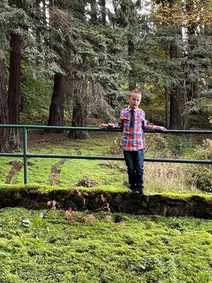 Mt. Tabor Picnic A by null