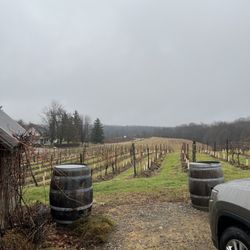 Tarsitano Winery - Vineyards