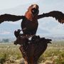 Photo of Borrego Springs Sculptures