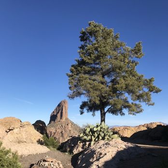 Peralta Trails - Lone Pine looking NW at weavers needle - Hiking Near Me - Gold Canyon, Arizona Peralta Trails - Lone Pine looking NW at weavers needle - Hiking Near Me - Gold Canyon, Arizona