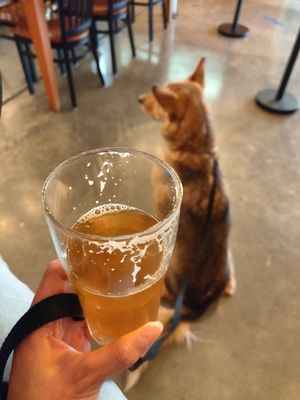 Jellyfish Brewing Company - Georgetown by null