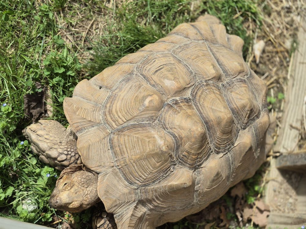 Social spots from Heritage Farm Museum & Village