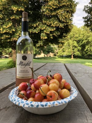 Maryhill Winery Goldendale Tasting Room & Bistro by null