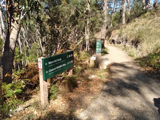 Cleland National Park by null