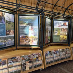 Williston Northbound Information Center