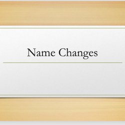 Amy M Menard Notary Public - Name Change Petition