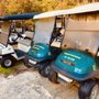 Photo of Mungeon Creek Retreat Golf Cart Rentals