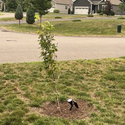 Groundhog Landscaping